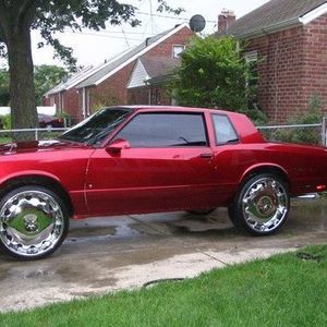 Meet your Posher, Fred